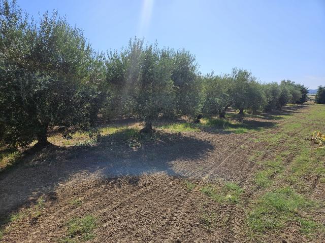 Terreno in vendita a Scarlino, Toscana