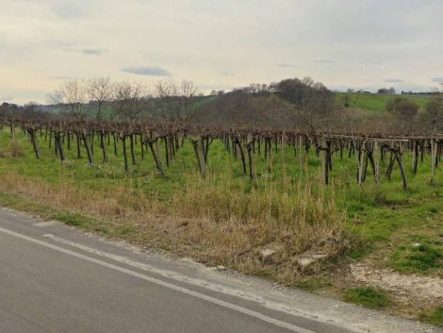 Terreno in vendita a Scerni, Abruzzo