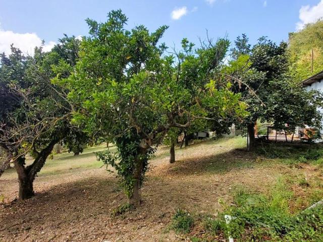 Terreno in vendita a Calabria, Cosenza