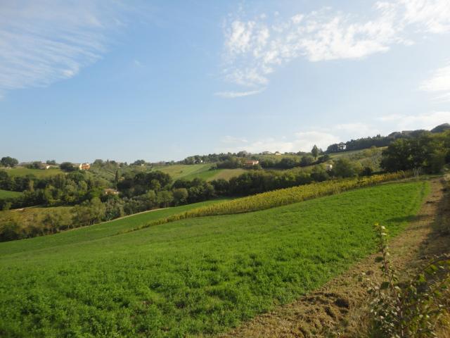 Terreno in vendita a Marche, Ancona