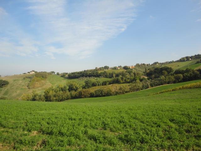 Terreno in vendita a Marche, Ancona