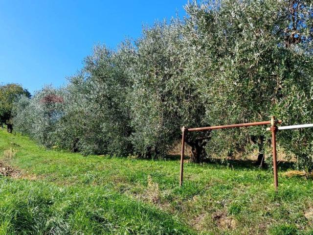 Terreno in vendita a Marche, Ancona