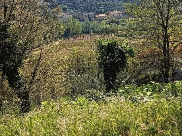 Terreno in vendita a Serravalle Pistoiese, Toscana