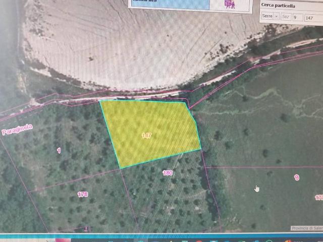 Terreno in vendita a Campagna, Campania