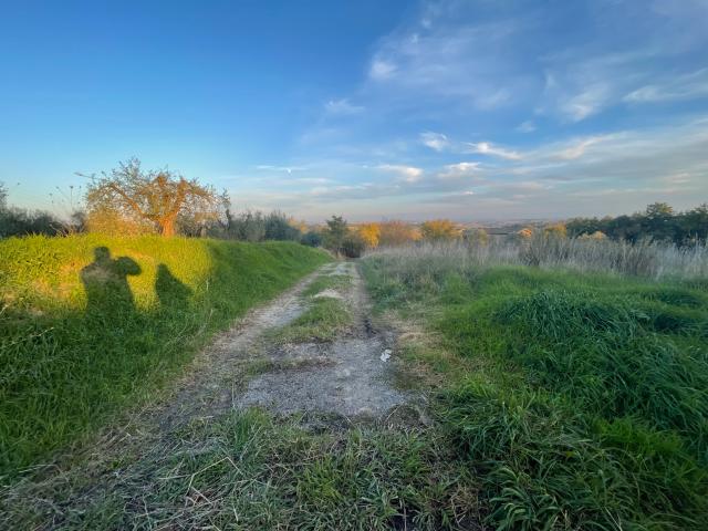 Terreno in vendita a Siena, Toscana