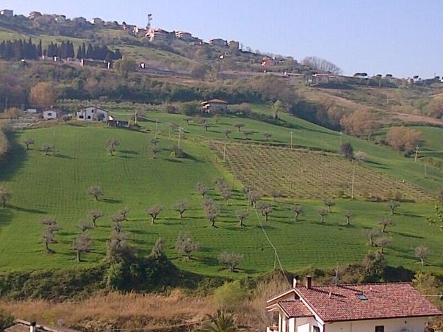Terreno in vendita a Silvi, Abruzzo