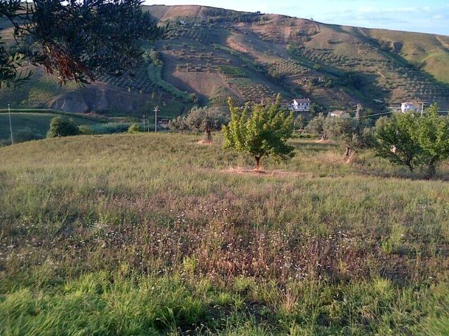 Terreno in vendita a Silvi, Abruzzo