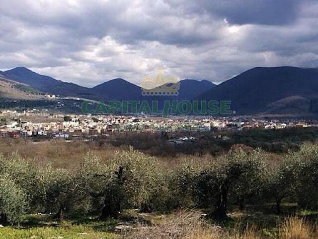 Terreno in vendita a Sirignano, Campania