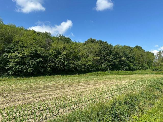 Terreno in vendita a Sirone, Lombardia