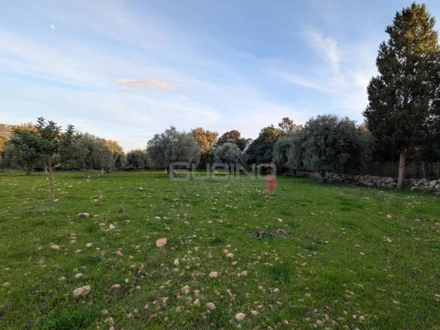 Terreno in vendita a Sortino, Siracusa