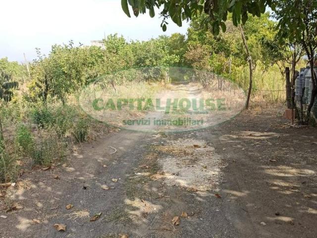 Terreno in vendita a Somma Vesuviana, Campania