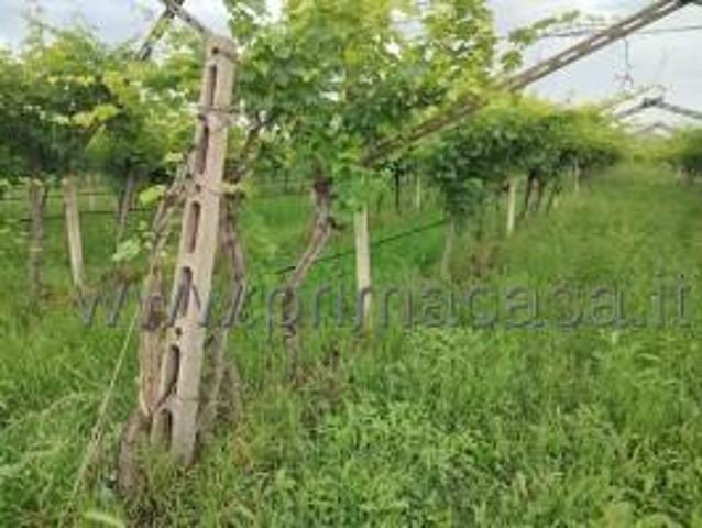 Terreno in vendita a Sona, Veneto
