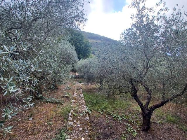 Terreno in vendita a Sonnino, Lazio