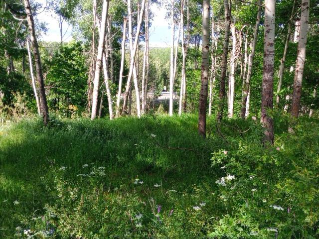 Terreno in vendita a Calabria, Cosenza