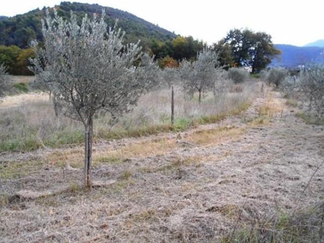 Terreno in vendita a Spoleto, Umbria