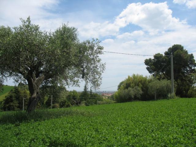 Terreno in vendita a Villa Raspa, Spoltore