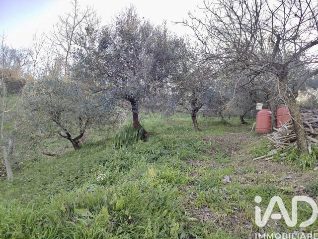 Terreno in vendita a Marche, Ancona