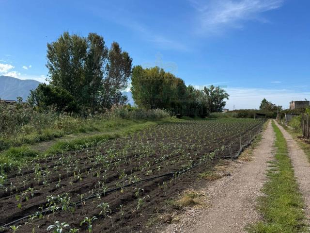 Terreno in vendita a Sarno, Campania