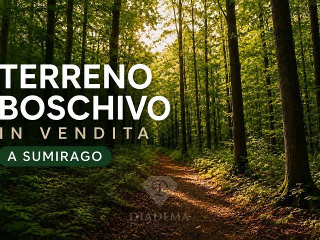 Terreno in vendita a Quinzano San Pietro, Sumirago