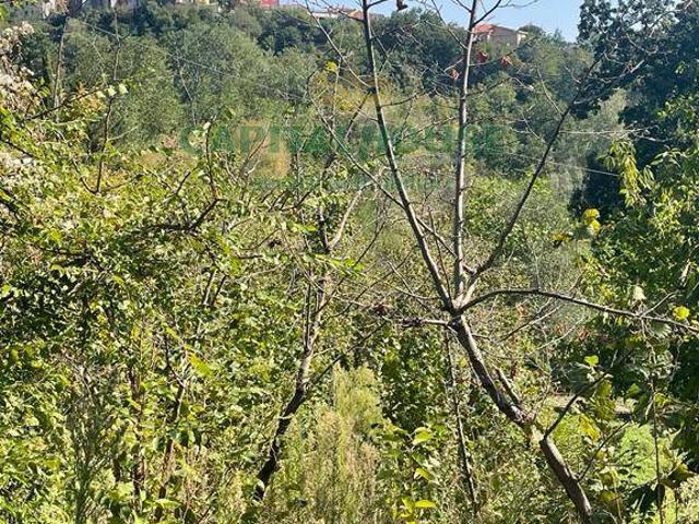 Terreno in vendita a Summonte, Campania