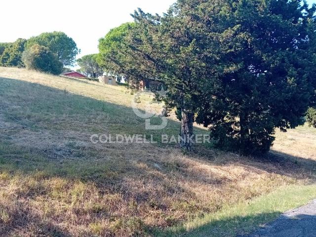Terreno in vendita a San Benedetto, Sutri