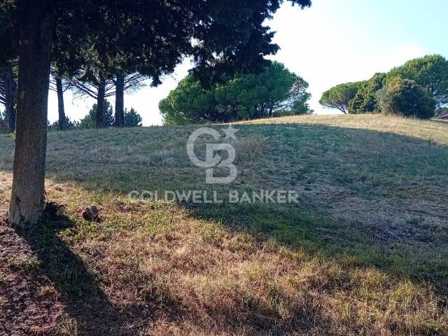 Terreno in vendita a San Benedetto, Sutri