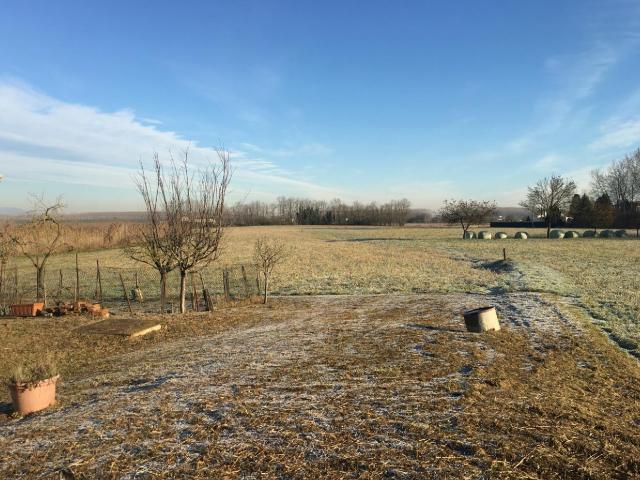 Terreno in vendita a Suzzara, Lombardia