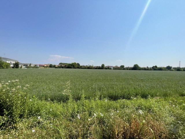 Terreno in vendita a Suzzara, Lombardia