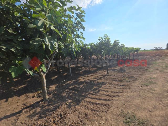 Terreno in vendita a Puglia, Taranto
