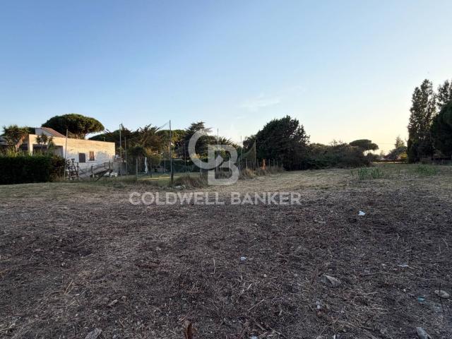 Terreno in vendita a Tarquinia, Lazio
