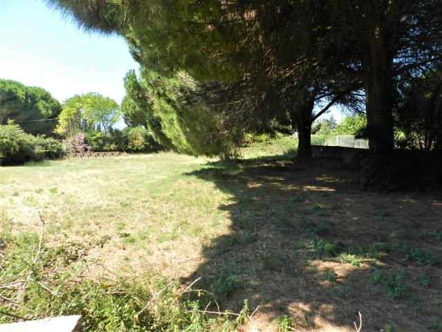Terreno in vendita a Tarquinia, Lazio