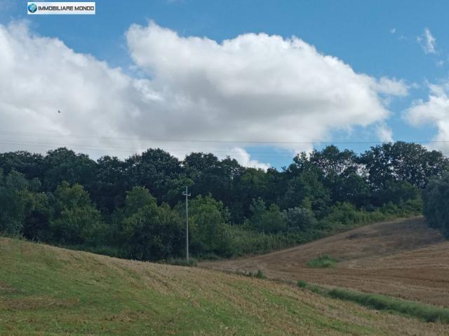 Terreno in vendita a Termoli, Molise