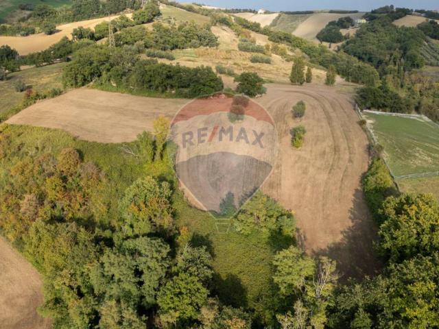 Terreno in vendita a Terre Roveresche, Marche