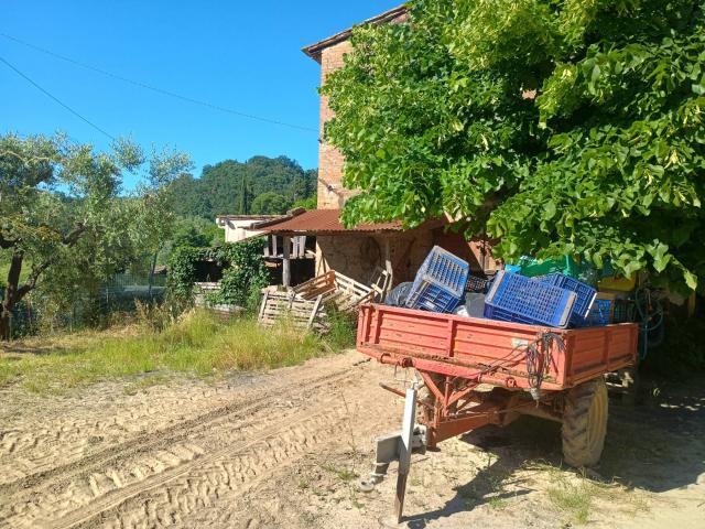 Terreno in vendita a Terricciola, Toscana