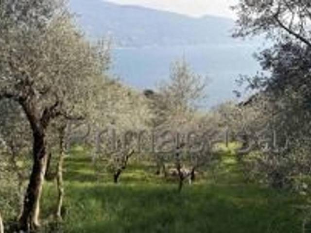 Terreno in vendita a Comunità Montana Parco Alto Garda bresciano, Tignale