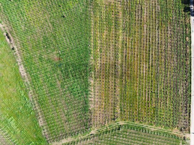 Terreno in vendita a Torino Di Sangro, Abruzzo