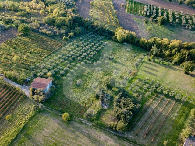 Terreno in vendita a Torre Le Nocelle, Campania