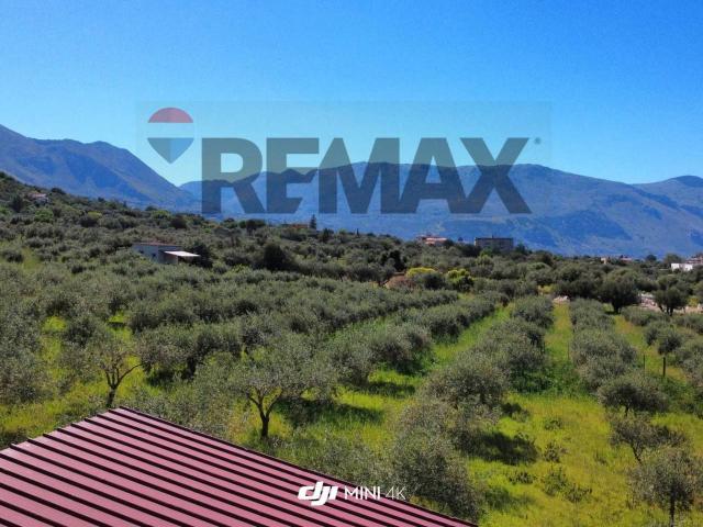 Terreno in vendita a Torretta, Sicilia