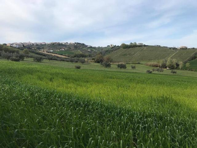 Terreno in vendita a Salino, Tortoreto