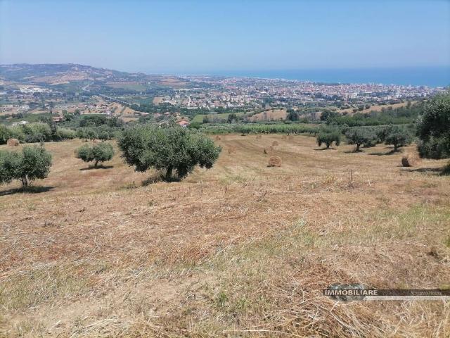 Terreno in vendita a Tortoreto, Teramo
