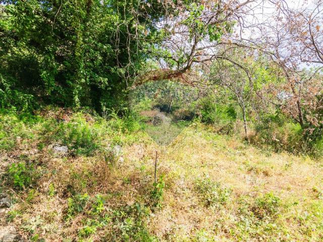 Terreno in vendita a Trecastagni, Sicilia