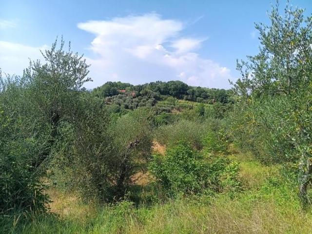 Terreno in vendita a Pontedera, Toscana