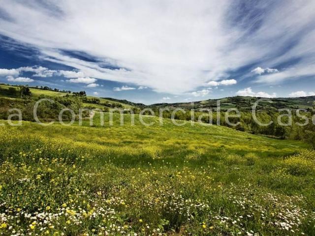 Terreno in vendita a San Zeno, Treviso