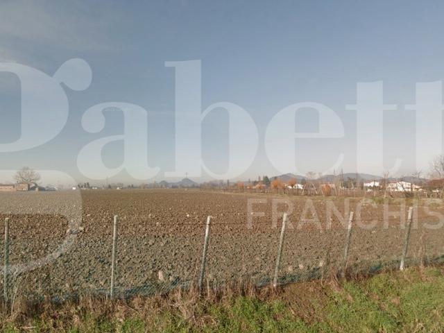 Terreno in vendita a Tribano, Veneto