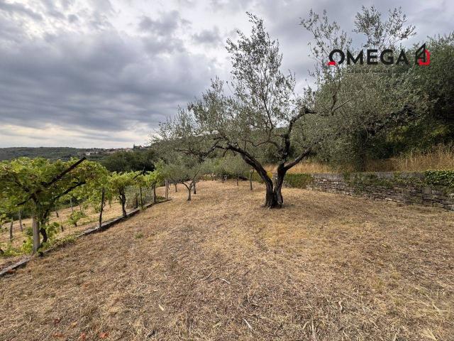 Terreno in vendita a Città Nuova-Barriera Nuova-San Vito-Città Vecchia, Villa Opicina