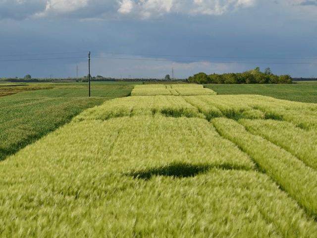 Terreno in vendita a Truccazzano, Lombardia