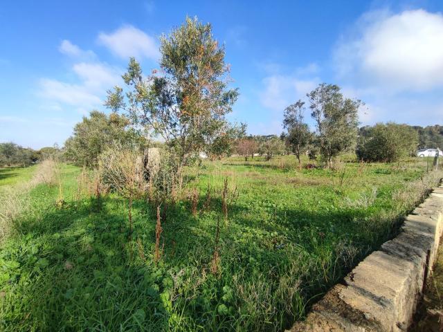 Terreno in vendita a Puglia, Lecce