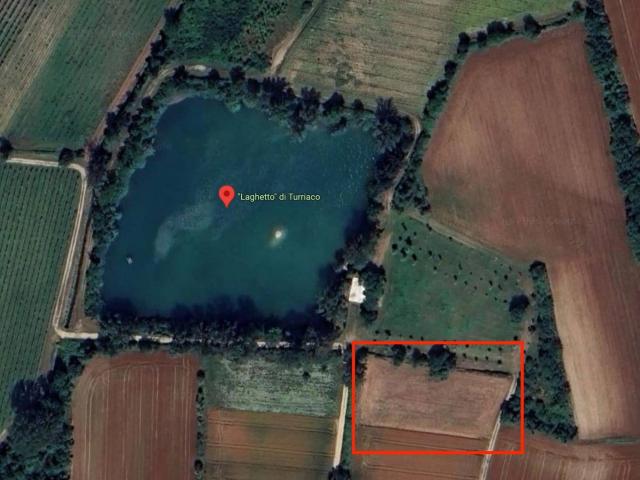 Terreno in vendita a Turriaco, Friuli-Venezia Giulia