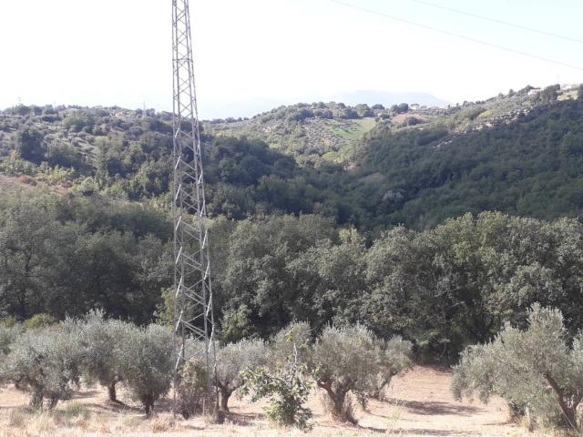 Terreno in vendita a Turrivalignani, Abruzzo
