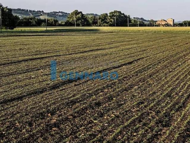 Terreno in vendita a Reana Del Roiale, Friuli-Venezia Giulia